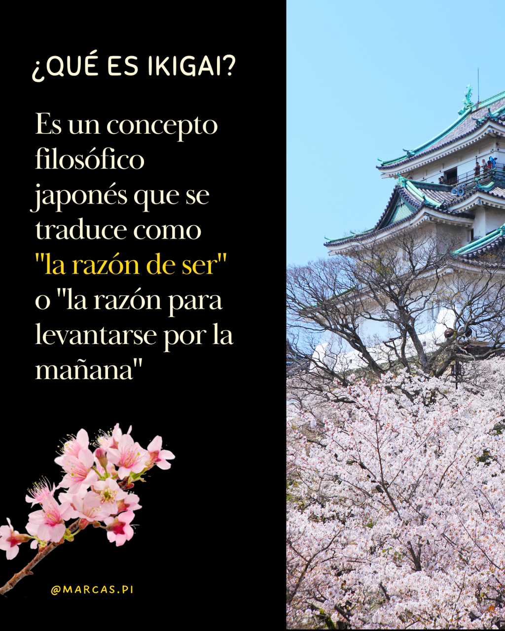 Club del Ikigai - Construyendo tu Propósito de Vida