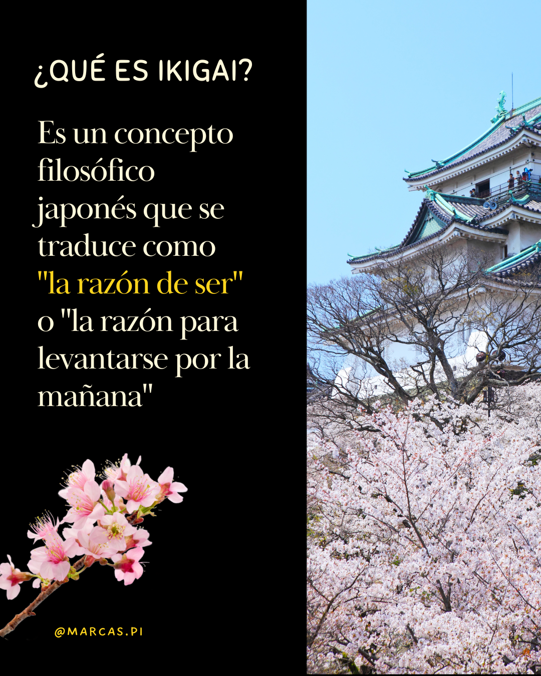 Club del Ikigai - Construyendo tu Propósito de Vida