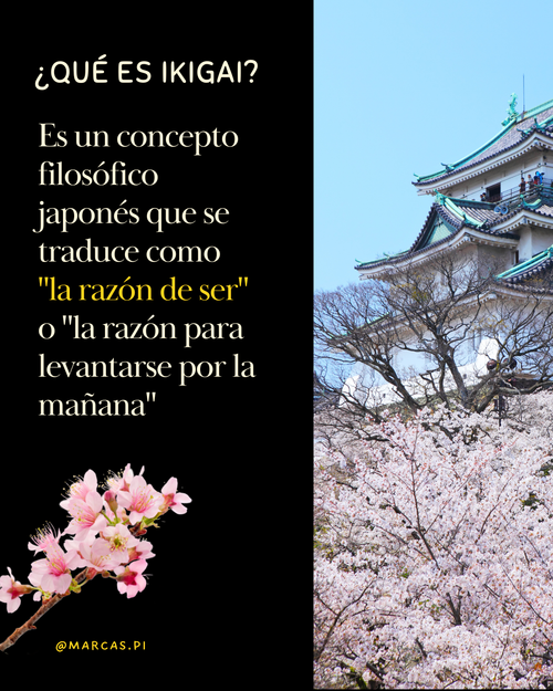 Club del Ikigai - Construyendo tu Propósito de Vida